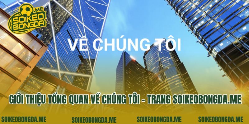 Giới thiệu tổng quan về chúng tôi - trang classifyed.co