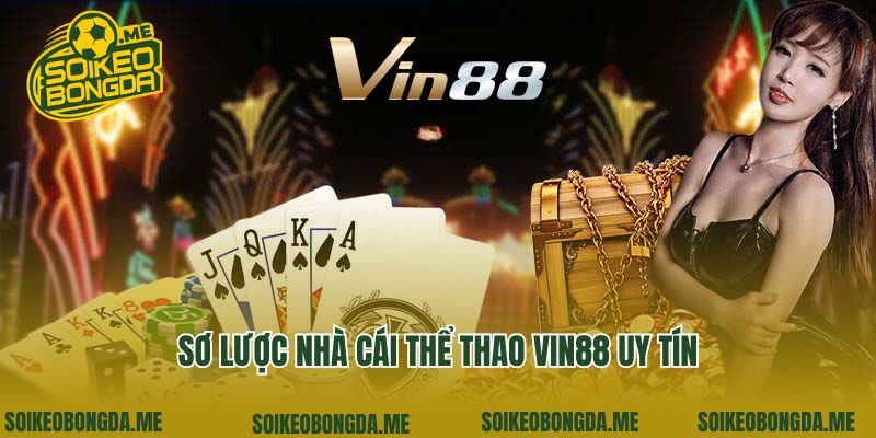 Sơ lược nhà cái thể thao Vin88 uy tín